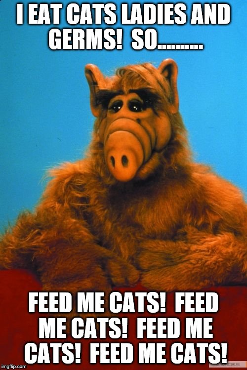 ALF eats cats |  I EAT CATS LADIES AND GERMS!  SO.......... FEED ME CATS!  FEED ME CATS!  FEED ME CATS!  FEED ME CATS! | image tagged in memes,headbanzer,alf | made w/ Imgflip meme maker