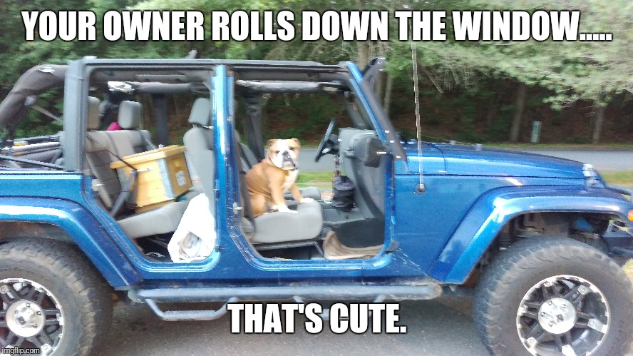 YOUR OWNER ROLLS DOWN THE WINDOW..... THAT'S CUTE. | image tagged in jeep | made w/ Imgflip meme maker