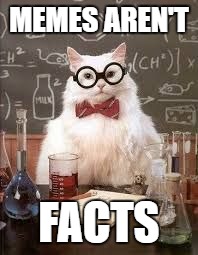 SMART CAT | MEMES AREN'T; FACTS | image tagged in smart cat | made w/ Imgflip meme maker