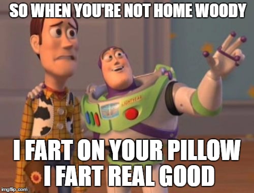 X, X Everywhere Meme | SO WHEN YOU'RE NOT HOME WOODY; I FART ON YOUR PILLOW I FART REAL GOOD | image tagged in memes,x x everywhere | made w/ Imgflip meme maker