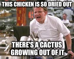 It might be a bit over cooked  | THIS CHICKEN IS SO DRIED OUT; THERE'S A CACTUS GROWING OUT OF IT | image tagged in gordon ramsey,chicken | made w/ Imgflip meme maker