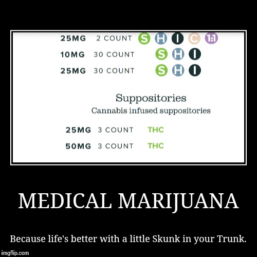 Skunk in the Trunk | image tagged in funny,demotivationals,420,weed,medical marijuana | made w/ Imgflip demotivational maker