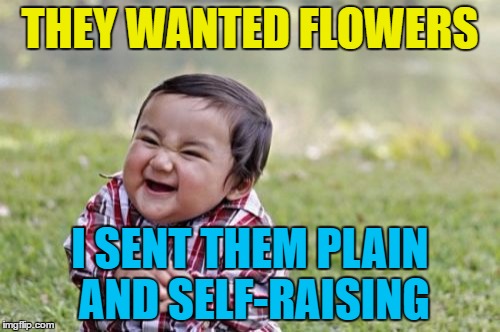 Inspired by Toejoe | THEY WANTED FLOWERS; I SENT THEM PLAIN AND SELF-RAISING | image tagged in memes,evil toddler,flowers,flours | made w/ Imgflip meme maker