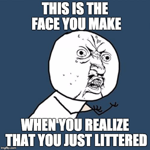 Y U No | THIS IS THE FACE YOU MAKE; WHEN YOU REALIZE THAT YOU JUST LITTERED | image tagged in memes,y u no | made w/ Imgflip meme maker