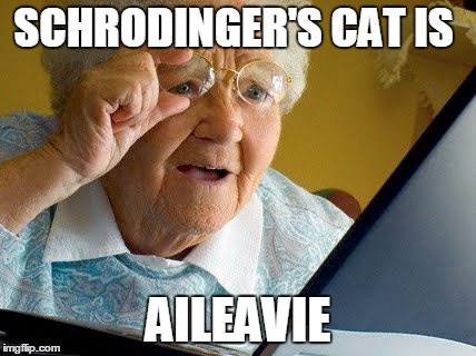 Old lady reading | SCHRODINGER'S CAT IS; AILEAVIE | image tagged in old lady reading | made w/ Imgflip meme maker