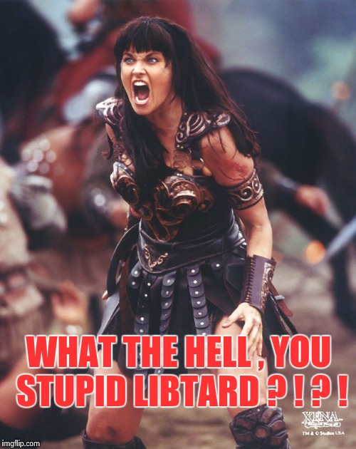 Xena is pissed | WHAT THE HELL , YOU STUPID LIBTARD ? ! ? ! | image tagged in xena is pissed | made w/ Imgflip meme maker