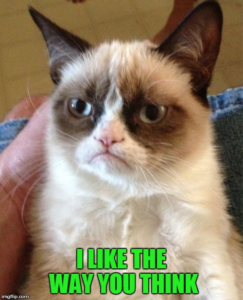 Grumpy Cat Meme | I LIKE THE WAY YOU THINK | image tagged in memes,grumpy cat | made w/ Imgflip meme maker