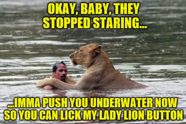 OKAY, BABY, THEY STOPPED STARING... ...IMMA PUSH YOU UNDERWATER NOW SO YOU CAN LICK MY LADY LION BUTTON | made w/ Imgflip meme maker