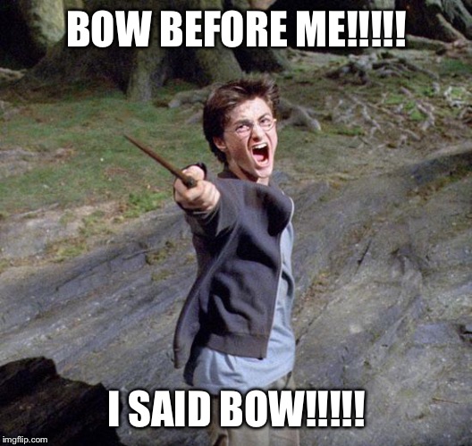 Harry potter | BOW BEFORE ME!!!!! I SAID BOW!!!!! | image tagged in harry potter | made w/ Imgflip meme maker