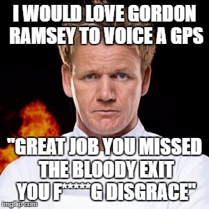  I WOULD LOVE GORDON RAMSEY TO VOICE A GPS; "GREAT JOB YOU MISSED THE BLOODY EXIT YOU F*****G DISGRACE" | image tagged in chef gordon ramsay | made w/ Imgflip meme maker