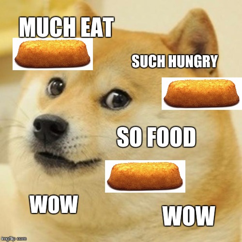 Doge | MUCH EAT; SUCH HUNGRY; SO FOOD; WOW; WOW | image tagged in memes,doge | made w/ Imgflip meme maker