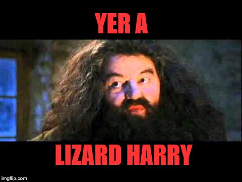 Hagrid | YER A; LIZARD HARRY | image tagged in hagrid | made w/ Imgflip meme maker