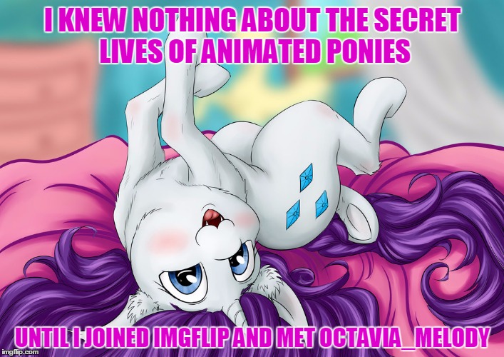 I KNEW NOTHING ABOUT THE SECRET LIVES OF ANIMATED PONIES UNTIL I JOINED IMGFLIP AND MET OCTAVIA_MELODY | made w/ Imgflip meme maker
