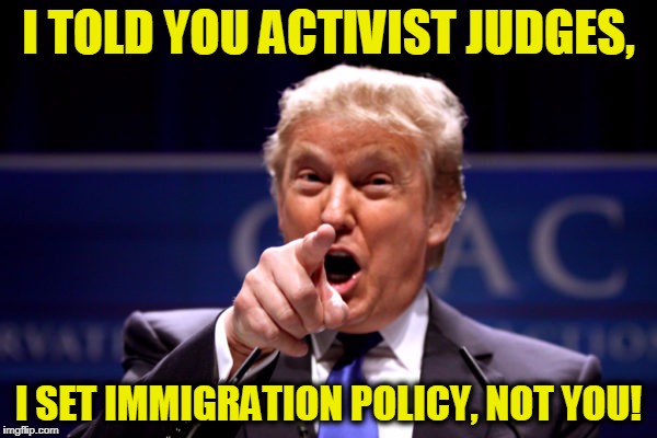 America:1 
Activist Judges:0 | I TOLD YOU ACTIVIST JUDGES, I SET IMMIGRATION POLICY, NOT YOU! | image tagged in your president bwha-ha-ha,memes,funny | made w/ Imgflip meme maker