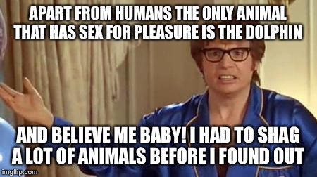 Austin Powers 1 | APART FROM HUMANS THE ONLY ANIMAL THAT HAS SEX FOR PLEASURE IS THE DOLPHIN; AND BELIEVE ME BABY! I HAD TO SHAG A LOT OF ANIMALS BEFORE I FOUND OUT | image tagged in austin powers 1,memes,funny | made w/ Imgflip meme maker