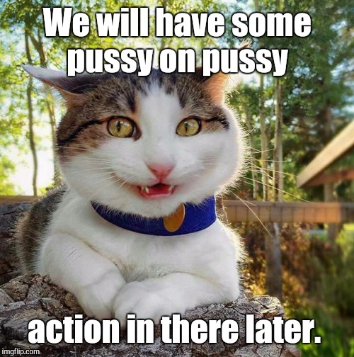 Smiling Cat | We will have some pussy on pussy action in there later. | image tagged in smiling cat | made w/ Imgflip meme maker