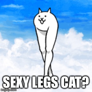 SEXY LEGS CAT? | made w/ Imgflip meme maker