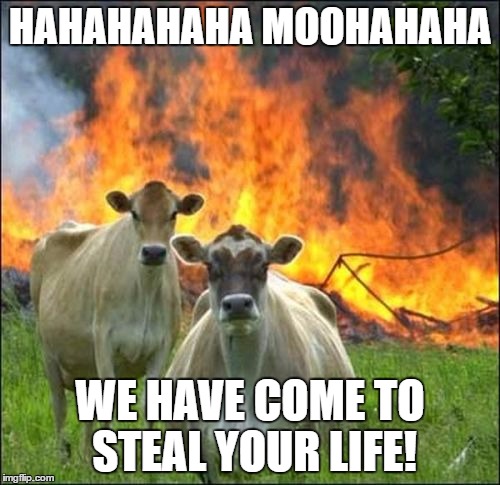 Evil Cows Meme | HAHAHAHAHA MOOHAHAHA; WE HAVE COME TO STEAL YOUR LIFE! | image tagged in memes,evil cows | made w/ Imgflip meme maker