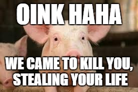 pig | OINK HAHA; WE CAME TO KILL YOU, STEALING YOUR LIFE | image tagged in pig | made w/ Imgflip meme maker