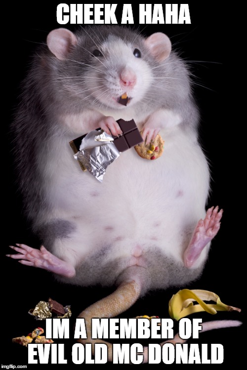 Mouse | CHEEK A HAHA; IM A MEMBER OF EVIL OLD MC DONALD | image tagged in mouse | made w/ Imgflip meme maker