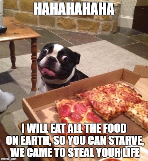 Hungry Pizza Dog | HAHAHAHAHA; I WILL EAT ALL THE FOOD ON EARTH, SO YOU CAN STARVE, WE CAME TO STEAL YOUR LIFE | image tagged in hungry pizza dog | made w/ Imgflip meme maker