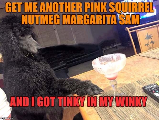 Ya feel me? | GET ME ANOTHER PINK SQUIRREL NUTMEG MARGARITA SAM AND I GOT TINKY IN MY WINKY | image tagged in noah gump at bar,wizz,piss,funny,meme,dog | made w/ Imgflip meme maker