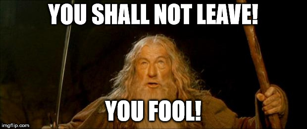 gandalf you shall not pass | YOU SHALL NOT LEAVE! YOU FOOL! | image tagged in gandalf you shall not pass | made w/ Imgflip meme maker