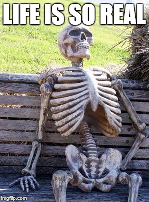 Waiting Skeleton Meme | LIFE IS SO REAL | image tagged in memes,waiting skeleton | made w/ Imgflip meme maker