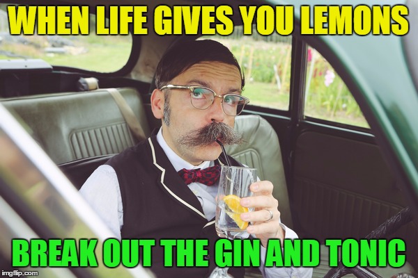 WHEN LIFE GIVES YOU LEMONS BREAK OUT THE GIN AND TONIC | made w/ Imgflip meme maker