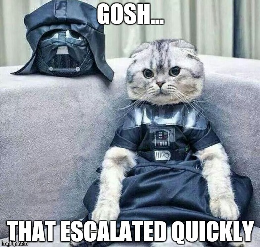 Pentest Moments | GOSH…; THAT ESCALATED QUICKLY | image tagged in darth cat,memes,funny,security,test | made w/ Imgflip meme maker