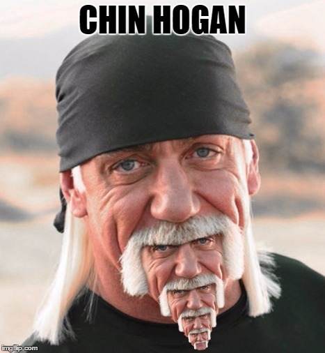 Chin Hogan | CHIN HOGAN | image tagged in hulk chin,memes,cats,dogs,funny,all the good tags here top okay | made w/ Imgflip meme maker