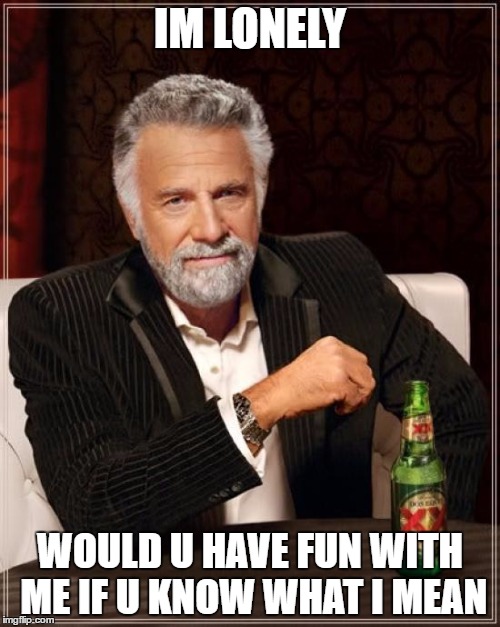 The Most Interesting Man In The World Meme | IM LONELY; WOULD U HAVE FUN WITH ME IF U KNOW WHAT I MEAN | image tagged in memes,the most interesting man in the world | made w/ Imgflip meme maker