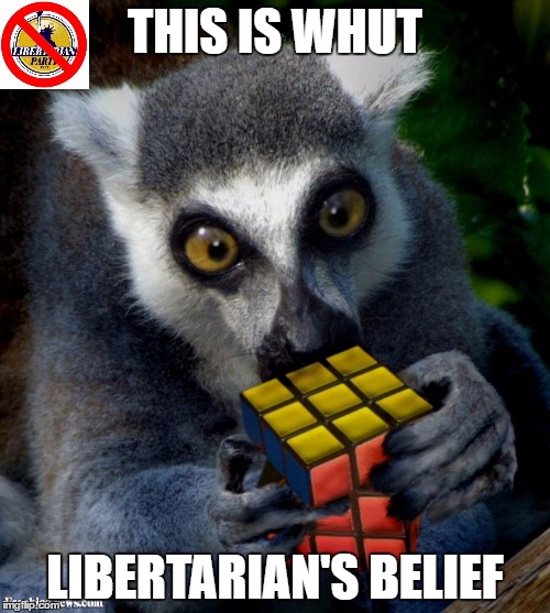 Libertarian Lemur | THIS IS WHUT; LIBERTARIAN'S BELIEF | image tagged in this is what libertarians believe,libertarian,lemur,libertarian party,memes,funny | made w/ Imgflip meme maker