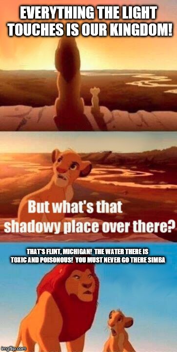 Flint, Michigan has bad water | EVERYTHING THE LIGHT TOUCHES IS OUR KINGDOM! THAT'S FLINT, MICHIGAN!  THE WATER THERE IS TOXIC AND POISONOUS!  YOU MUST NEVER GO THERE SIMBA | image tagged in memes,simba shadowy place | made w/ Imgflip meme maker