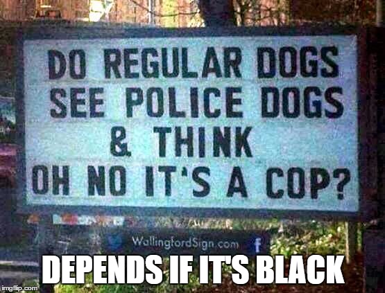 i'm sorry for the racisim | DEPENDS IF IT'S BLACK | image tagged in racist dog,memes,funny,signs,funny signs,nsfw | made w/ Imgflip meme maker