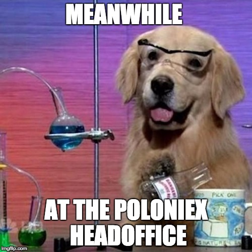 I Have No Idea What I Am Doing Dog Meme | MEANWHILE; AT THE POLONIEX HEADOFFICE | image tagged in memes,i have no idea what i am doing dog | made w/ Imgflip meme maker