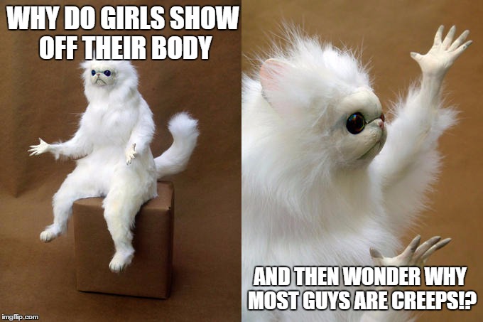 Persian Cat Room Guardian | WHY DO GIRLS SHOW OFF THEIR BODY; AND THEN WONDER WHY MOST GUYS ARE CREEPS!? | image tagged in memes,persian cat room guardian | made w/ Imgflip meme maker