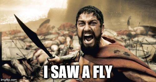 Sparta Leonidas | I SAW A FLY | image tagged in memes,sparta leonidas | made w/ Imgflip meme maker