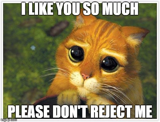 Shrek Cat | I LIKE YOU SO MUCH; PLEASE DON'T REJECT ME | image tagged in memes,shrek cat | made w/ Imgflip meme maker