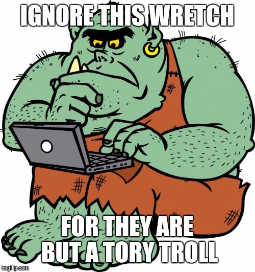 Troll | IGNORE THIS WRETCH; FOR THEY ARE BUT A TORY TROLL | image tagged in troll | made w/ Imgflip meme maker