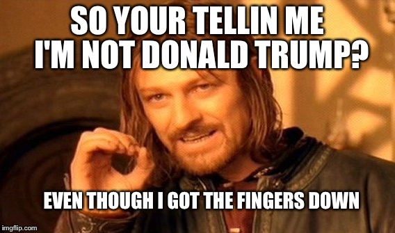 One Does Not Simply Meme | SO YOUR TELLIN ME; I'M NOT DONALD TRUMP? EVEN THOUGH I GOT THE FINGERS DOWN | image tagged in memes,one does not simply | made w/ Imgflip meme maker