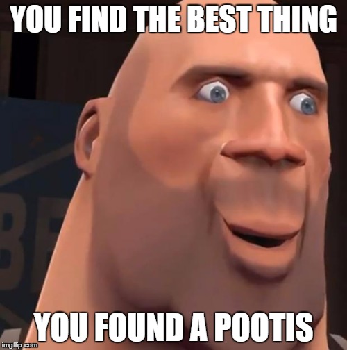 Pootis | YOU FIND THE BEST THING; YOU FOUND A POOTIS | image tagged in pootis | made w/ Imgflip meme maker