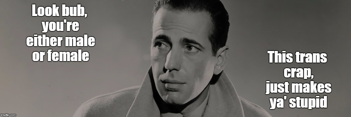 humphrey bogart | Look bub, you're either male or female; This trans crap, just makes ya' stupid | image tagged in humphrey bogart,transgender,stupid,trans crap,liberal | made w/ Imgflip meme maker