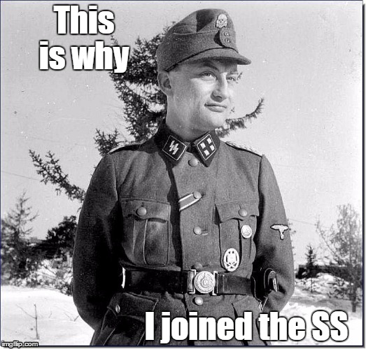 This is why | This is why; I joined the SS | image tagged in ss why | made w/ Imgflip meme maker