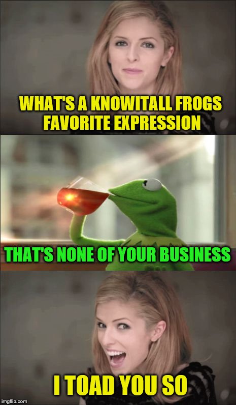 Bad Pun Anna Kendrick and Friends | WHAT'S A KNOWITALL FROGS FAVORITE EXPRESSION; THAT'S NONE OF YOUR BUSINESS; I TOAD YOU SO | image tagged in memes,bad pun anna kendrick,kermit the frog | made w/ Imgflip meme maker