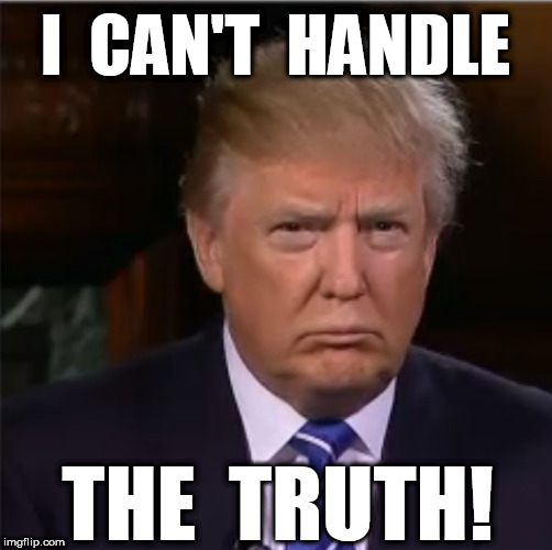 Donald Trump sulk | I  CAN'T  HANDLE; THE  TRUTH! | image tagged in donald trump sulk | made w/ Imgflip meme maker