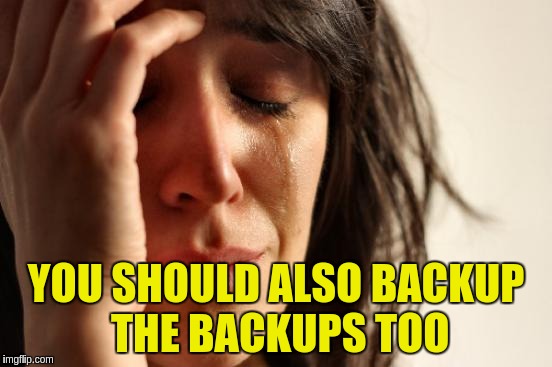 First World Problems Meme | YOU SHOULD ALSO BACKUP THE BACKUPS TOO | image tagged in memes,first world problems | made w/ Imgflip meme maker