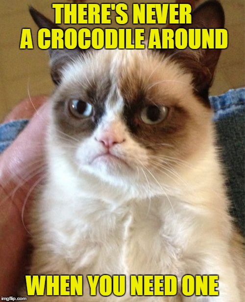 Grumpy Cat Meme | THERE'S NEVER A CROCODILE AROUND WHEN YOU NEED ONE | image tagged in memes,grumpy cat | made w/ Imgflip meme maker