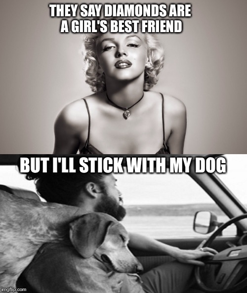Man' Best Friend | THEY SAY DIAMONDS ARE A GIRL'S BEST FRIEND; BUT I'LL STICK WITH MY DOG | image tagged in man's best friend,marilyn monroe | made w/ Imgflip meme maker