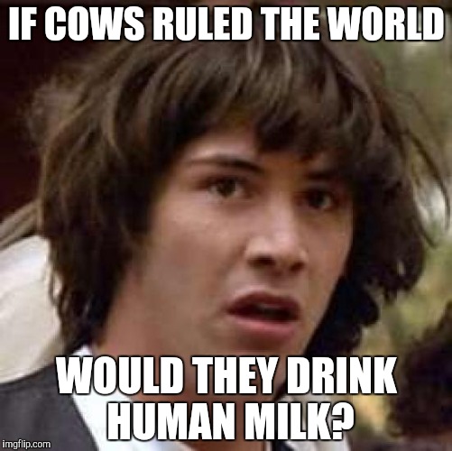 Conspiracy Keanu | IF COWS RULED THE WORLD; WOULD THEY DRINK HUMAN MILK? | image tagged in memes,conspiracy keanu | made w/ Imgflip meme maker